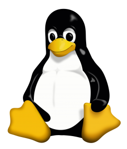 empêcher la récupération de son code WiFi avec Linux
