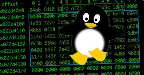 Le nouveau framework Linux Malware permet aux attaquants d'installer le rootkit sur les systèmes ciblés