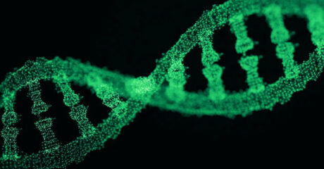 Instruments de séquençage d'ADN