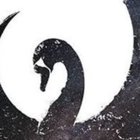 Illustration du profil de black swan
